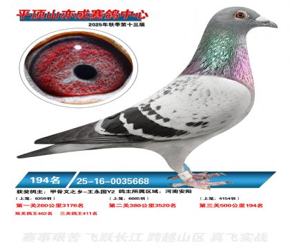 ƽ��ɽ��ɾ���194��