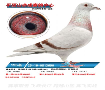 ƽ��ɽ��ɾ���195��