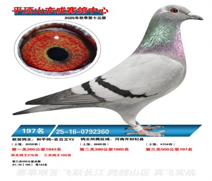 ƽ��ɽ��ɾ���197��