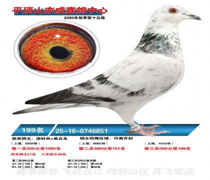 ƽ��ɽ��ɾ���199��