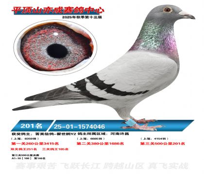 ƽ��ɽ��ɾ���201��