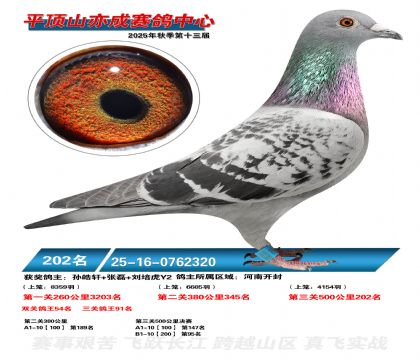 ƽ��ɽ��ɾ���202��