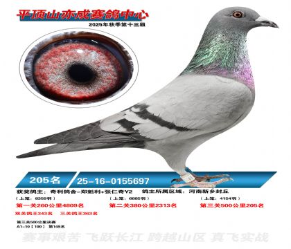 ƽ��ɽ��ɾ���205��