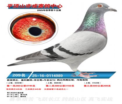 ƽ��ɽ��ɾ���209��