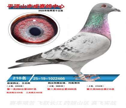 ƽ��ɽ��ɾ���210��