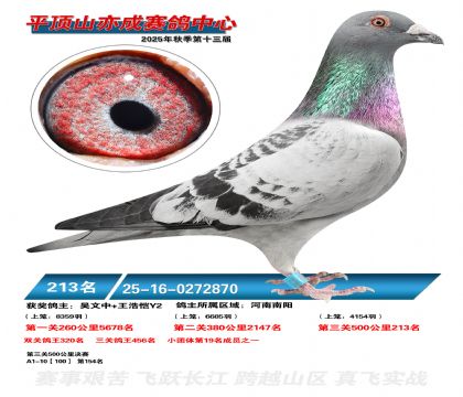 ƽ��ɽ��ɾ���213��