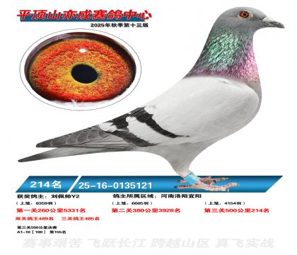 ƽ��ɽ��ɾ���214��