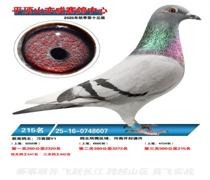 ƽ��ɽ��ɾ���215��