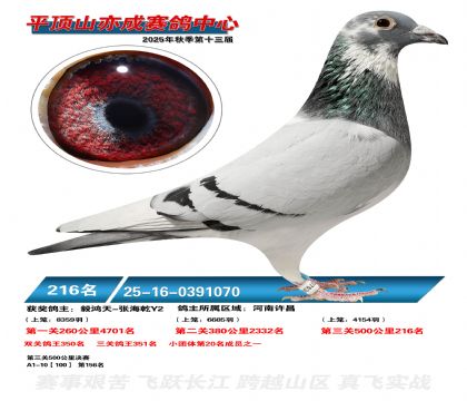 ƽ��ɽ��ɾ���216��