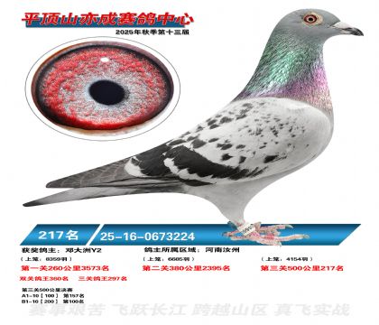 ƽ��ɽ��ɾ���217��