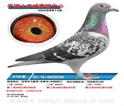 ƽ��ɽ��ɾ���218��