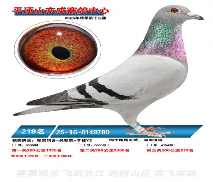 ƽ��ɽ��ɾ���219��