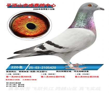 ƽ��ɽ��ɾ���220��