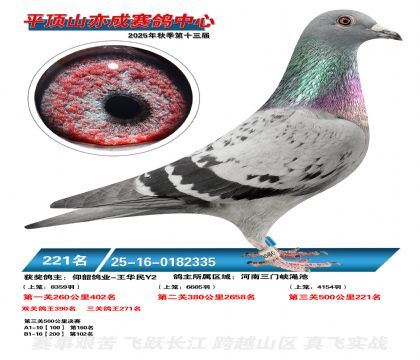 ƽ��ɽ��ɾ���221��