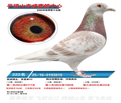 ƽ��ɽ��ɾ���222��