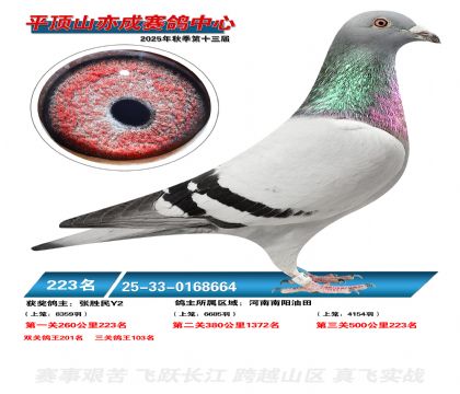 ƽ��ɽ��ɾ���223��