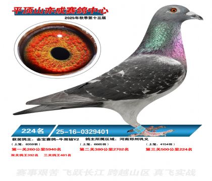 ƽ��ɽ��ɾ���224��