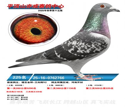 ƽ��ɽ��ɾ���225��