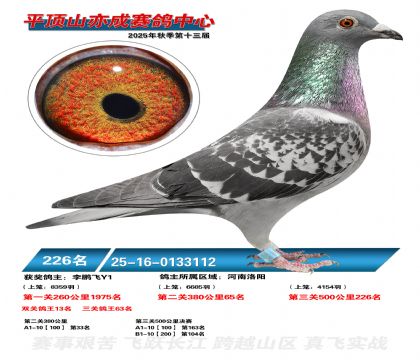 ƽ��ɽ��ɾ���226��