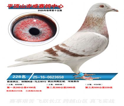 ƽ��ɽ��ɾ���228��