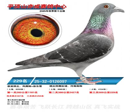 ƽ��ɽ��ɾ���229��