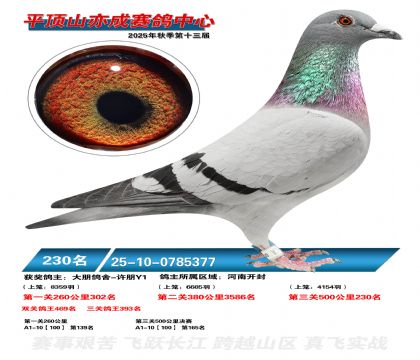 ƽ��ɽ��ɾ���230��