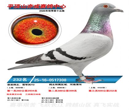 ƽ��ɽ��ɾ���232��