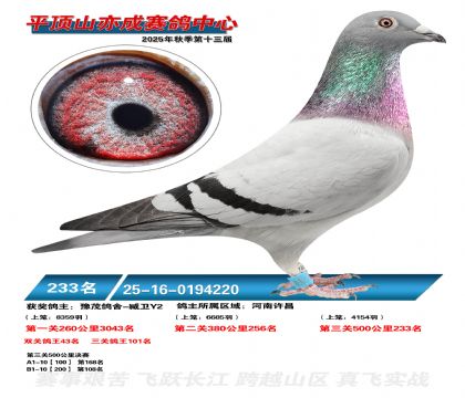 ƽ��ɽ��ɾ���233��