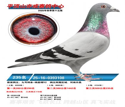 ƽ��ɽ��ɾ���235��