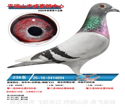 ƽ��ɽ��ɾ���236��