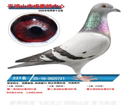 ƽ��ɽ��ɾ���237��