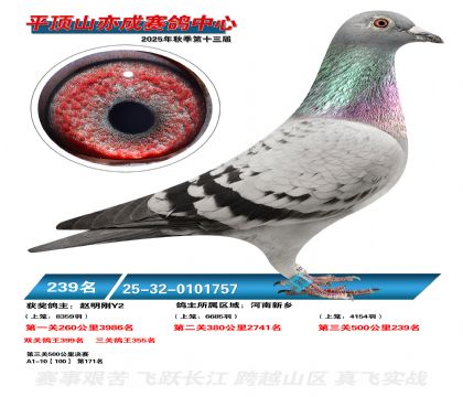 ƽ��ɽ��ɾ���239��