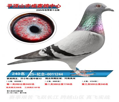 ƽ��ɽ��ɾ���240��