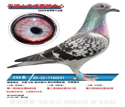 ƽ��ɽ��ɾ���242��