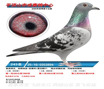 ƽ��ɽ��ɾ���243��