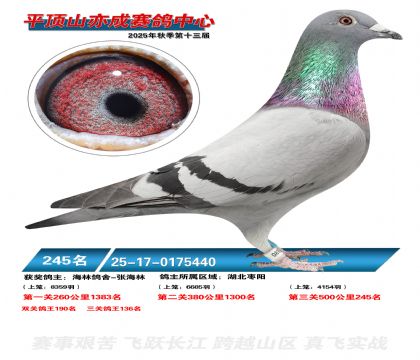 ƽ��ɽ��ɾ���245��