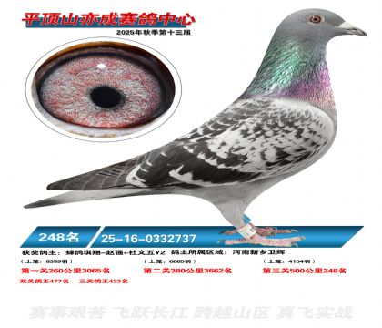 ƽ��ɽ��ɾ���248��