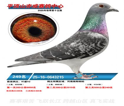 ƽ��ɽ��ɾ���249��