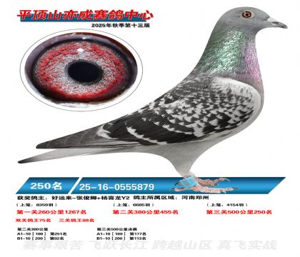 ƽ��ɽ��ɾ���250��