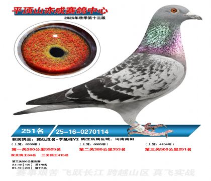 ƽ��ɽ��ɾ���251��