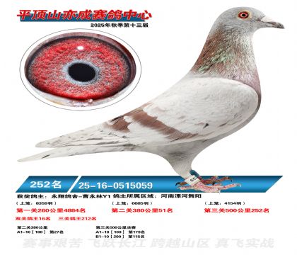 ƽ��ɽ��ɾ���252��