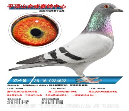 ƽ��ɽ��ɾ���254��