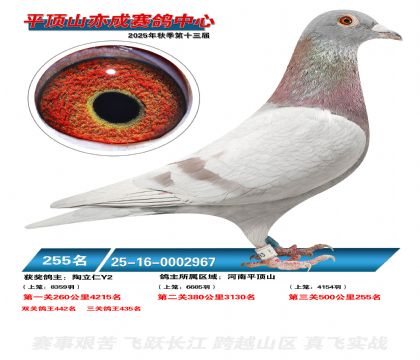 ƽ��ɽ��ɾ���255��