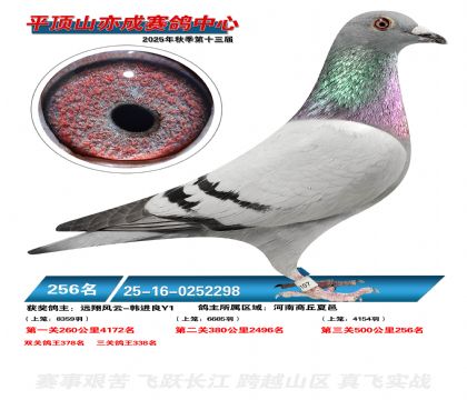 ƽ��ɽ��ɾ���256��