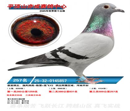 ƽ��ɽ��ɾ���257��