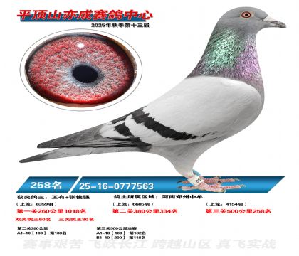 ƽ��ɽ��ɾ���258��