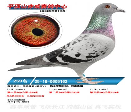 ƽ��ɽ��ɾ���259��