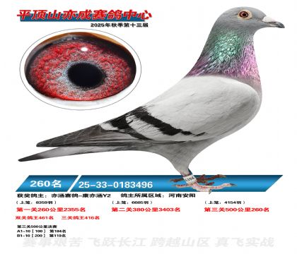 ƽ��ɽ��ɾ���260��