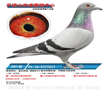 ƽ��ɽ��ɾ���261��