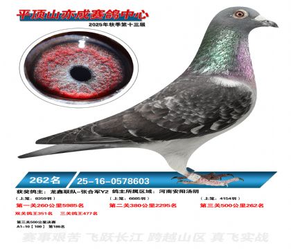 ƽ��ɽ��ɾ���262��